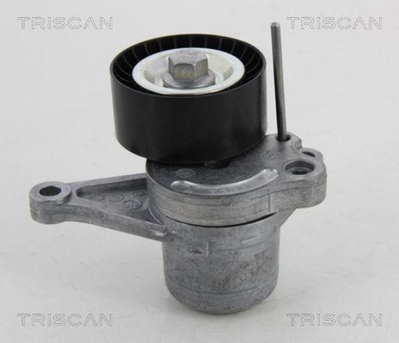 TRISCAN 8641 103040 Spannrolle für Renault, Opel, Nissan