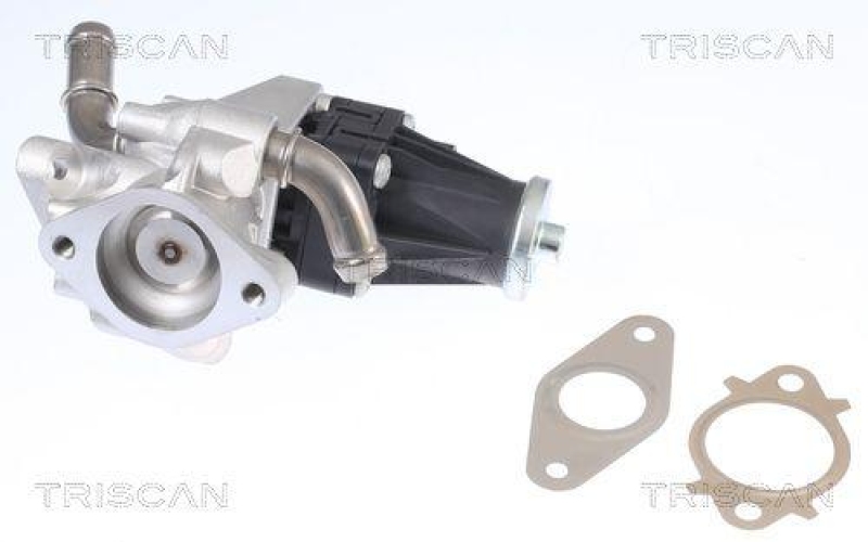 TRISCAN 8813 16150 Agr Ventil für Ford