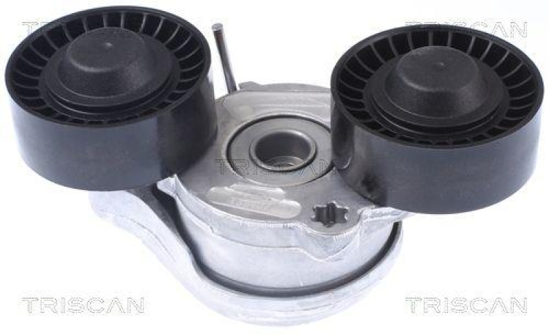 TRISCAN 8641 173006 Spannrolle für Jaguar, Landrover