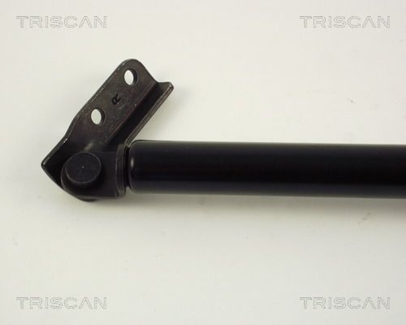 TRISCAN 8710 42217 Gasfeder Hinten für Mitsubishi Space Runner