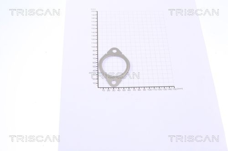 TRISCAN 8813 99126 Egr Dichtung für Opel