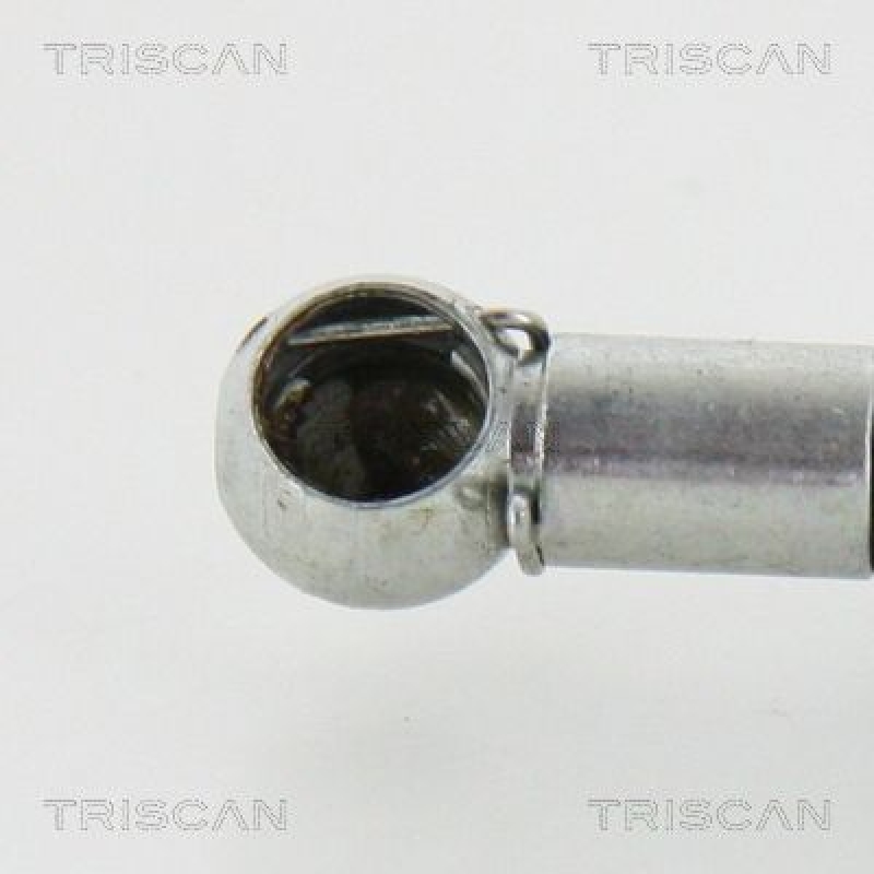 TRISCAN 8710 42233 Gasfeder Hinten für Mitsubishi Space Runner