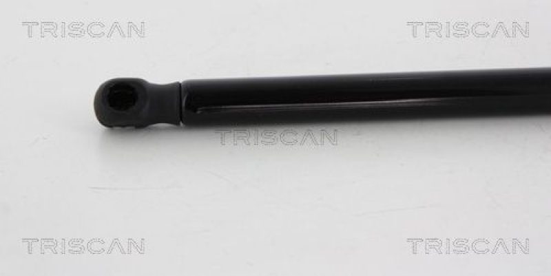 TRISCAN 8710 42240 Gasfeder Hinten für Mitsubishi