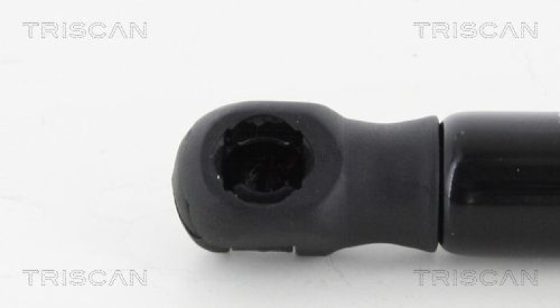 TRISCAN 8710 42241 Gasfeder Hinten für Mitsubishi