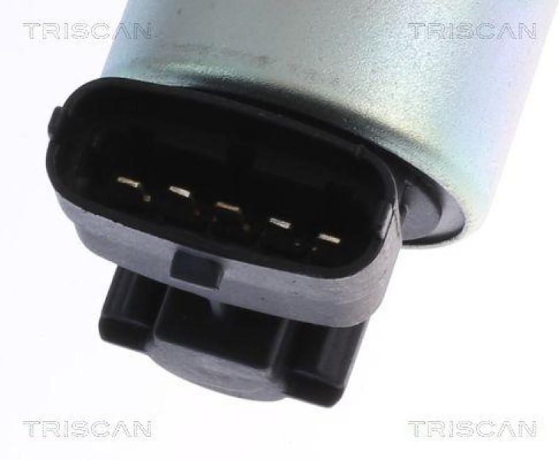 TRISCAN 8813 24001 Agr Ventil für Opel/Fiat/Gm