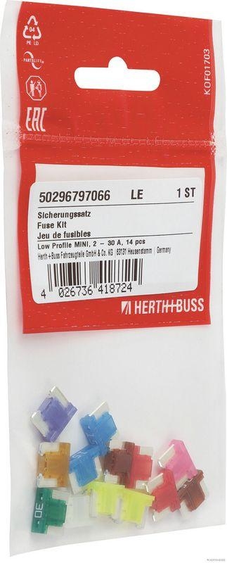 HERTH+BUSS ELPARTS 50296797066 Sicherungssatz