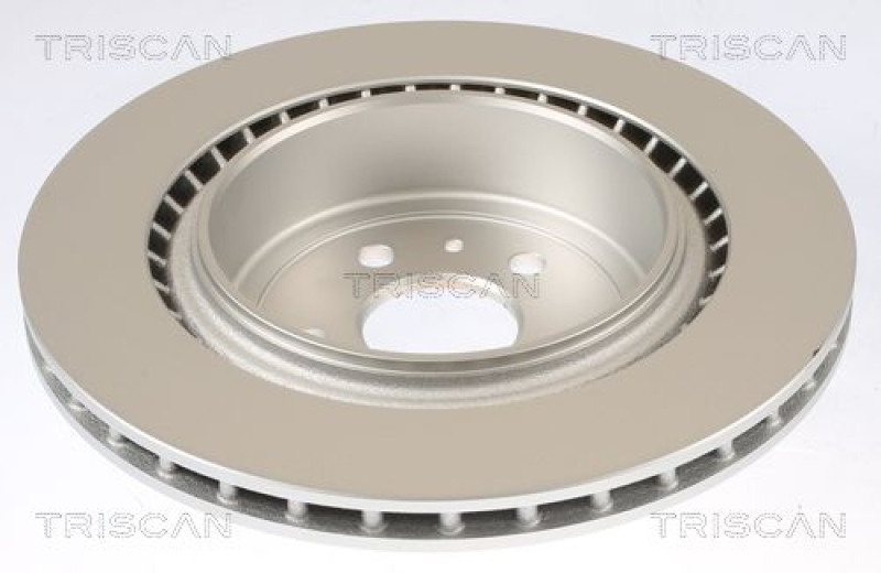 TRISCAN 8120 81002c Bremsscheibe Hinten, Coated für Tesla