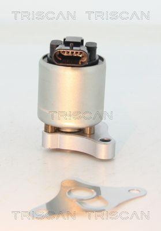 TRISCAN 8813 24002 Agr Ventil für Opel/Saab