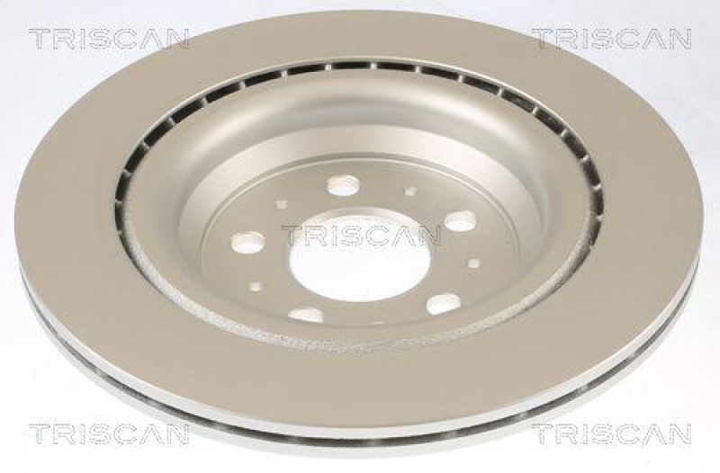 TRISCAN 8120 81004c Bremsscheibe Hinten, Coated für Tesla