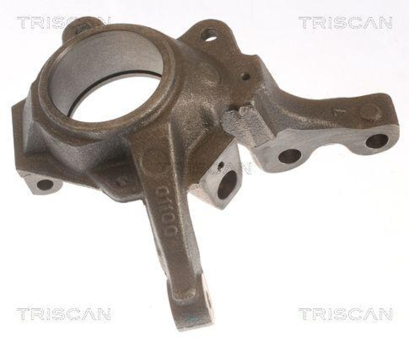 TRISCAN 8500 25701 Achsschenkel für Renault