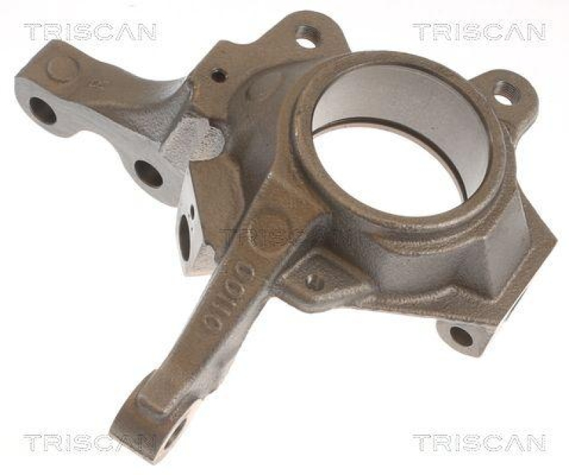 TRISCAN 8500 25702 Achsschenkel für Renault