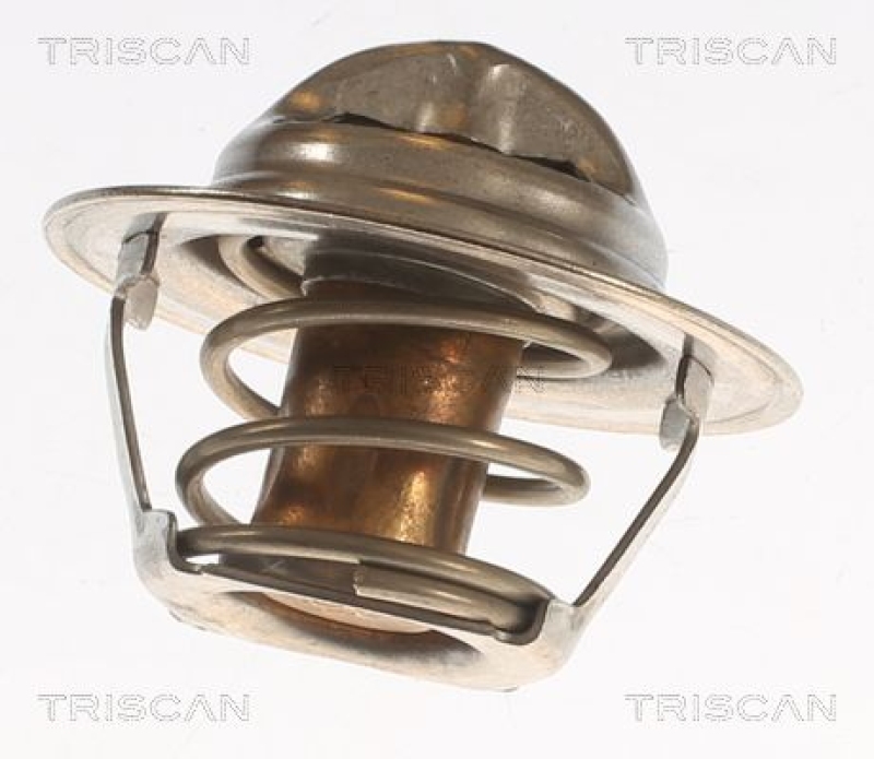 TRISCAN 8620 3982 Thermostat für Vag, Opel (3)