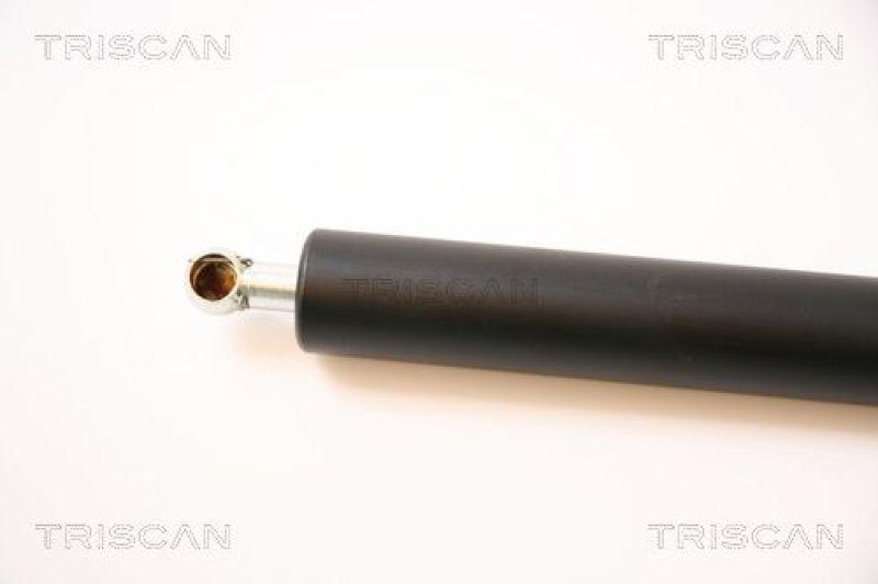 TRISCAN 8710 43209 Gasfeder Hinten für Hyundai Trajet