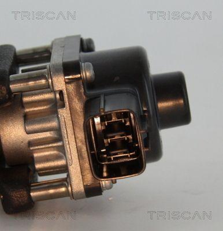 TRISCAN 8813 24033 Agr Ventil für Opel/Gm