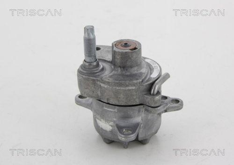 TRISCAN 8641 232018 Spannrolle für Mercedes