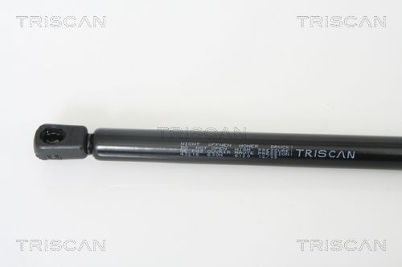 TRISCAN 8710 43216 Gasfeder Hinten für Hyundai Matrix