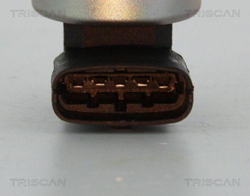 TRISCAN 8813 24200 Agr Ventil für Opel