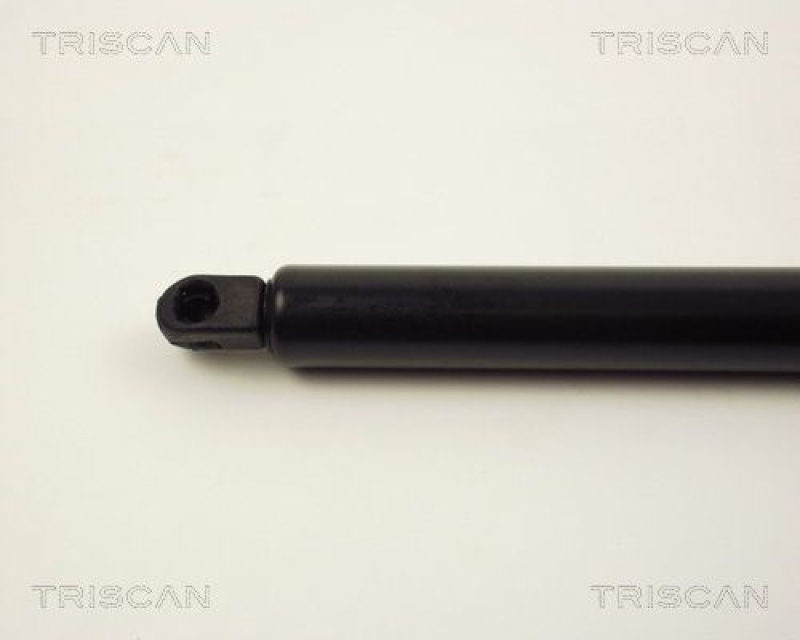 TRISCAN 8710 10200 Gasfeder Hinten für Ford, Seat, Volkswagen