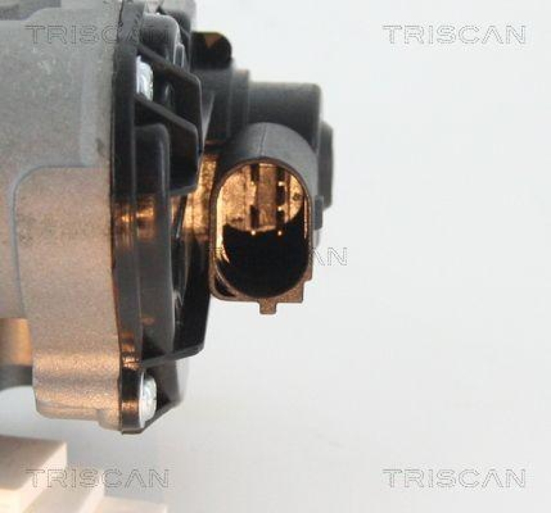 TRISCAN 8813 25010 Agr Ventil für Renault/Dacia