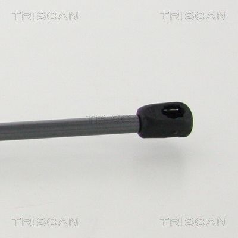 TRISCAN 8710 43245 Gasfeder Hinten für Hyundai Santa Fe