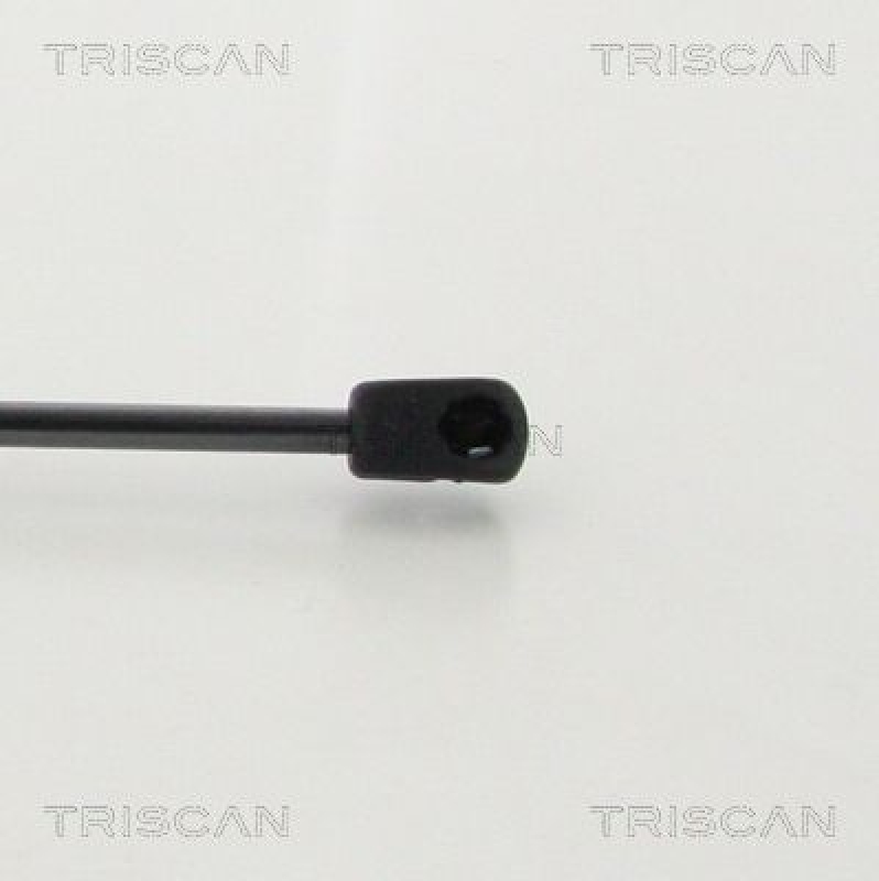 TRISCAN 8710 43246 Gasfeder Hinten für Hyundai I10