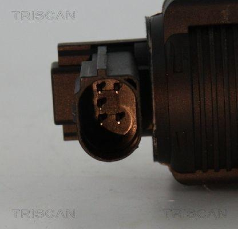 TRISCAN 8813 25038 Agr Ventil für Renault/Dacia