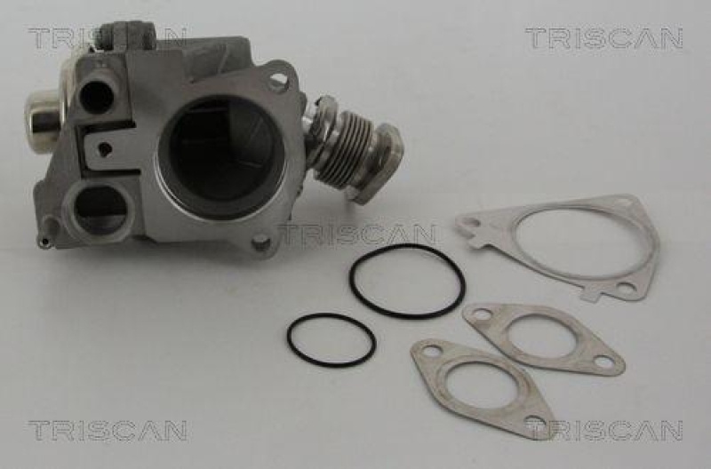 TRISCAN 8813 28019 Agr Ventil für Psa