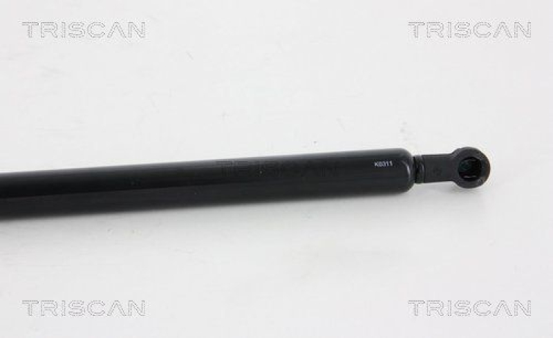 TRISCAN 8710 28243 Gasfeder Hinten für Peugeot 207Cc