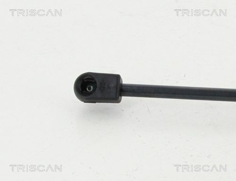 TRISCAN 8710 112004 Gasfeder Hinten für Bmw X3 F25