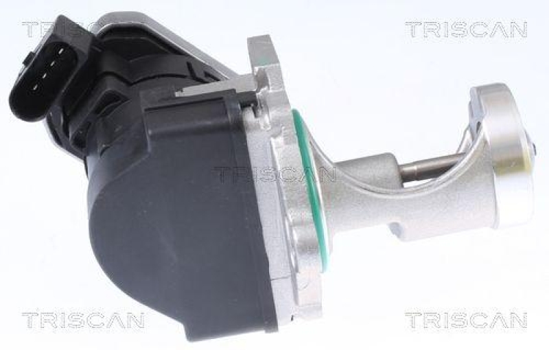 TRISCAN 8813 29043 Agr Ventil für Vag/Ford