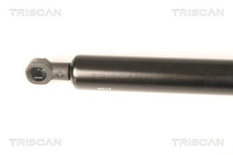 TRISCAN 8710 50248 Gasfeder Hinten für Mazda 6 Station Wagon (Gh)