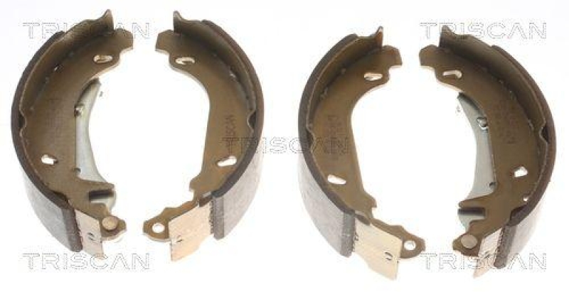 TRISCAN 8100 25002 Bremsbacken für Renault