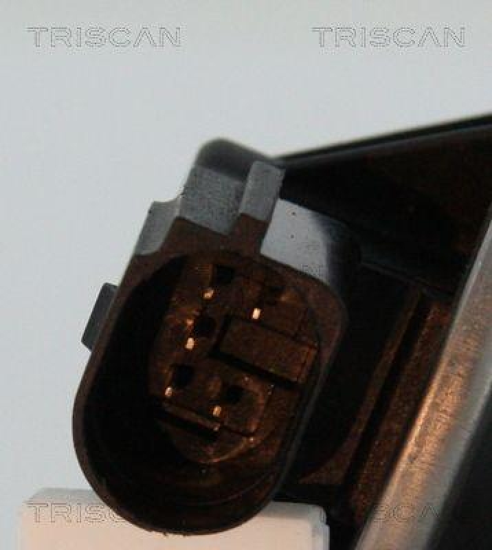 TRISCAN 8813 29100 Agr Ventil für Vw