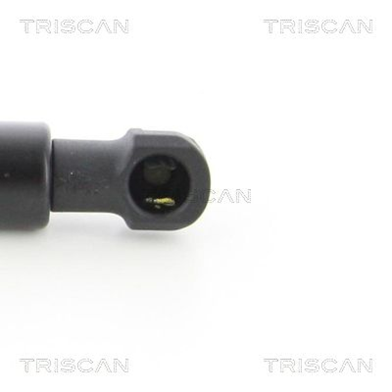 TRISCAN 8710 50256 Gasfeder Hinten für Cx5