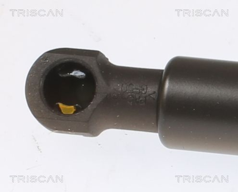 TRISCAN 8710 50266 Gasfeder Hinten für Cx-3 15-