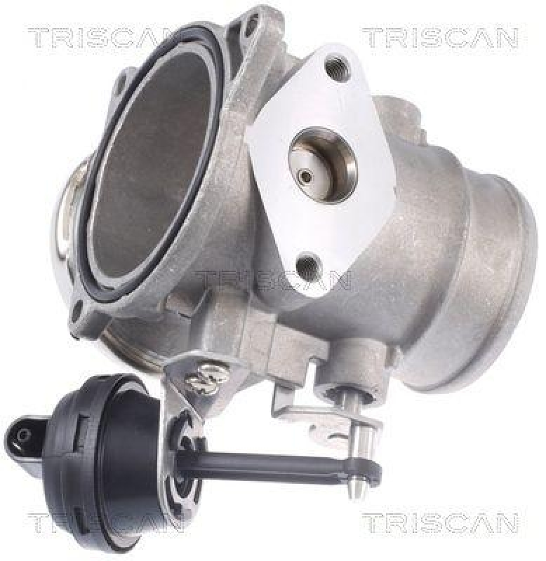 TRISCAN 8813 29309 Agr Ventil für Vw Transporter