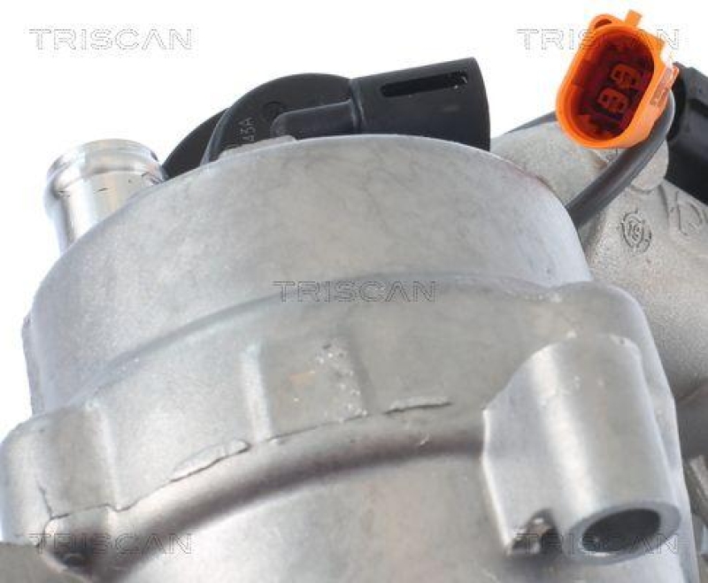 TRISCAN 8813 29321 Agr Ventil für Audi, Vw, Porsche