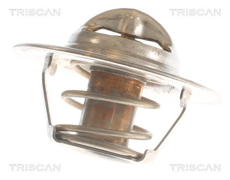 TRISCAN 8620 7882 Thermostat für Rover (1)