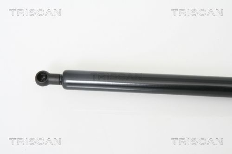 TRISCAN 8710 66203 Gasfeder Hinten für Seat Toledo Iii 5P2