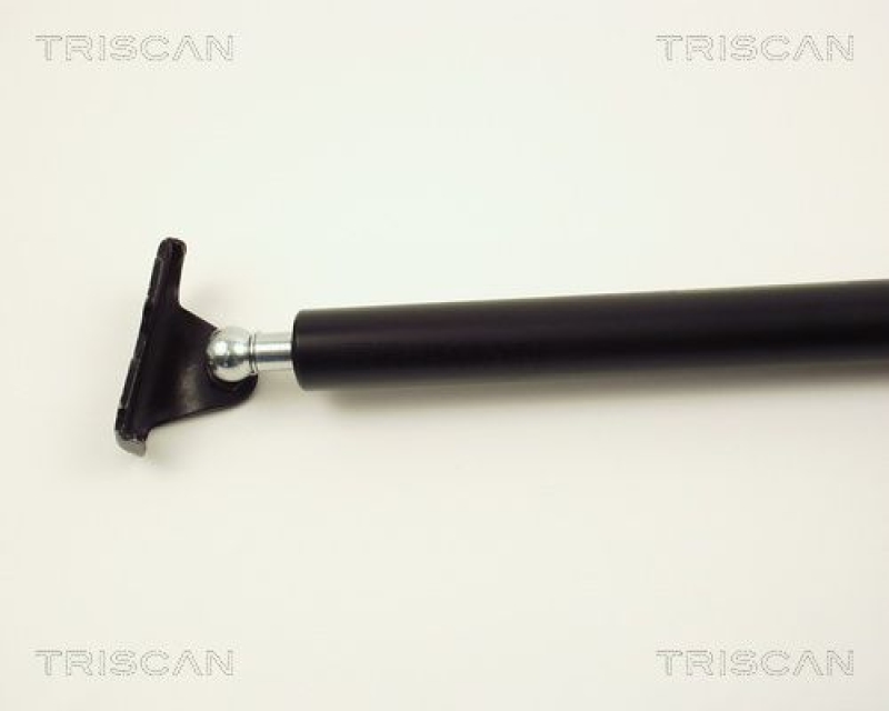 TRISCAN 8710 13234 Gasfeder Hinten für Toyota Carina E