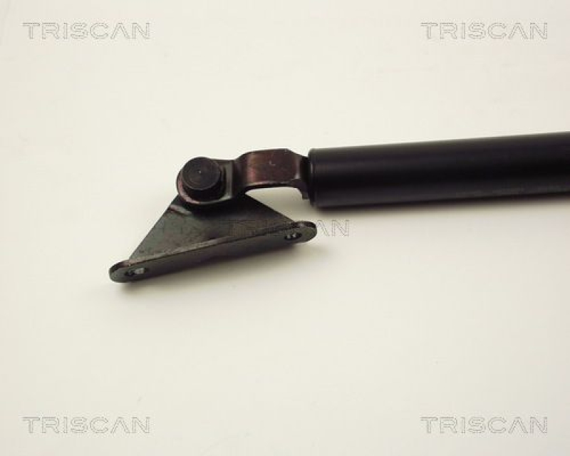 TRISCAN 8710 13240 Gasfeder Hinten für Toyota Pinic / Sport Van