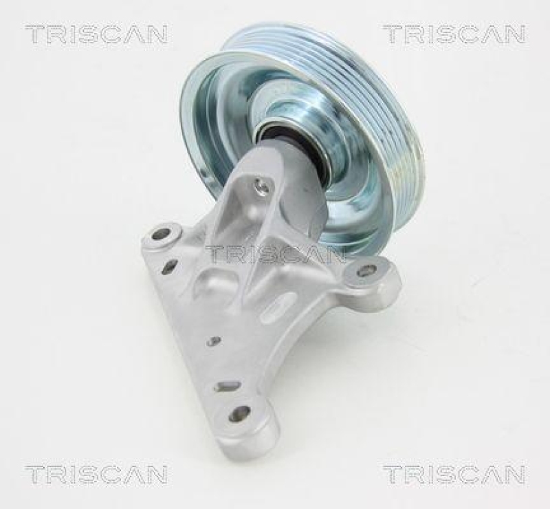 TRISCAN 8641 282020 Umlenkrolle für Citroen