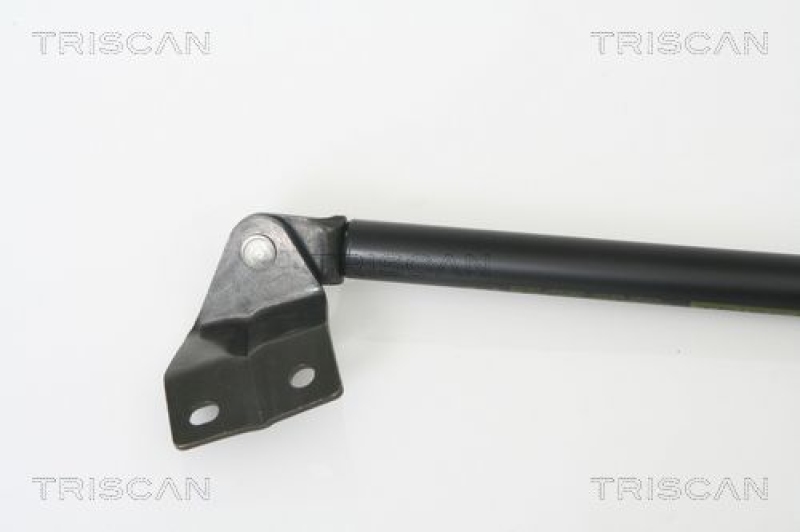 TRISCAN 8710 69213 Gasfeder Hinten für Suzuki Alto Iii