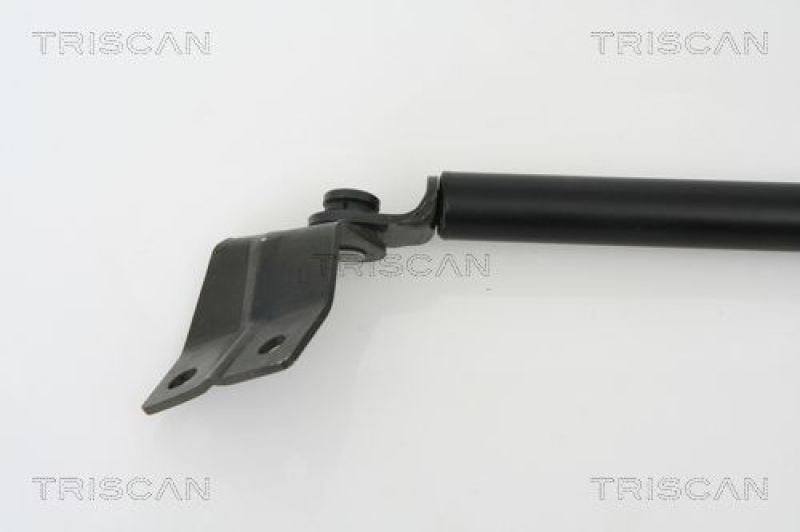 TRISCAN 8710 69214 Gasfeder Hinten für Suzuki Alto Iii