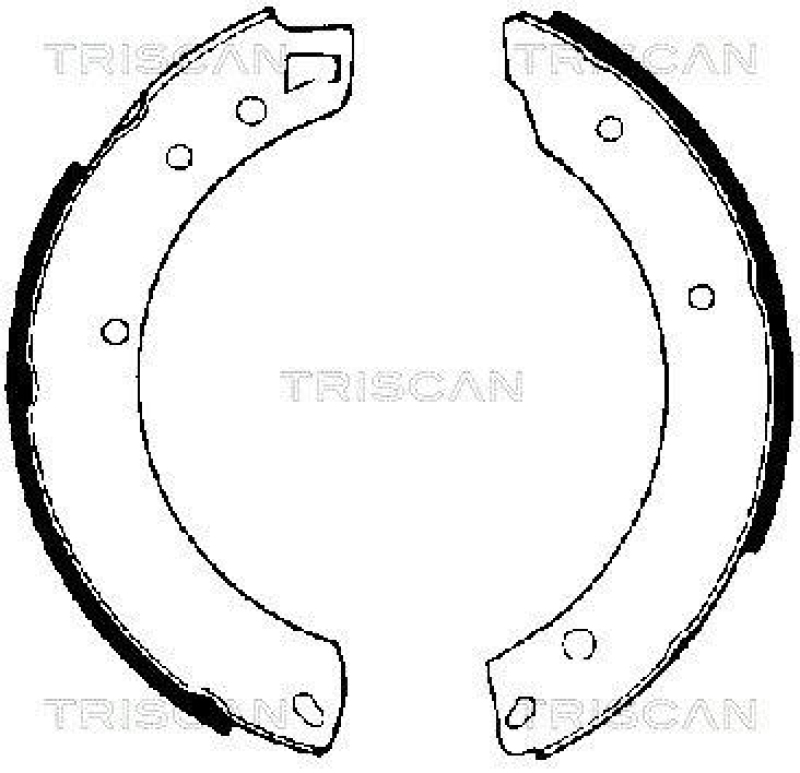 TRISCAN 8100 10034 Bremsbacken, Feststellbremse für Jaguar