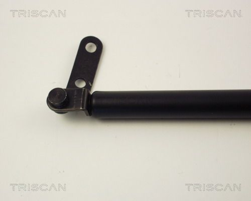 TRISCAN 8710 14219 Gasfeder Hinten für Nissan Sunny N14