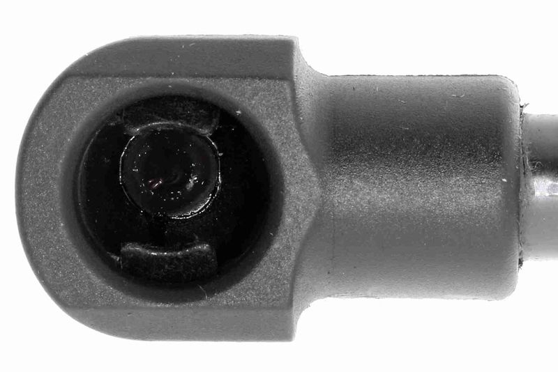 VAICO V10-3241 Gasfeder, Motorhaube für VW