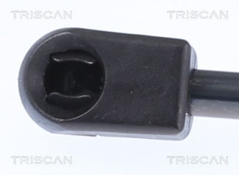 TRISCAN 8710 14221 Gasfeder Hinten für Nissan Micra K11