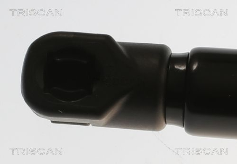 TRISCAN 8710 82005 Gasfeder Hinten für Mg