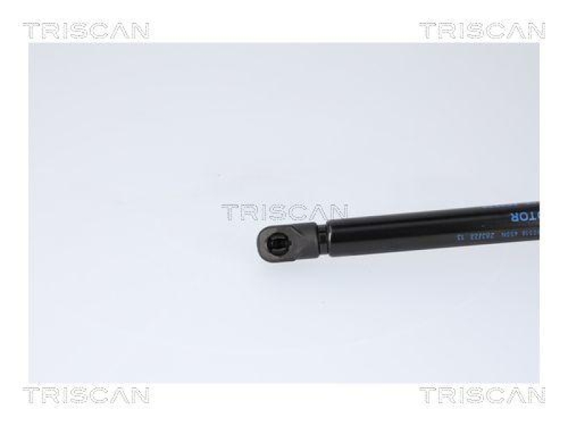 TRISCAN 8710 82008 Gasfeder Hinten für Mg